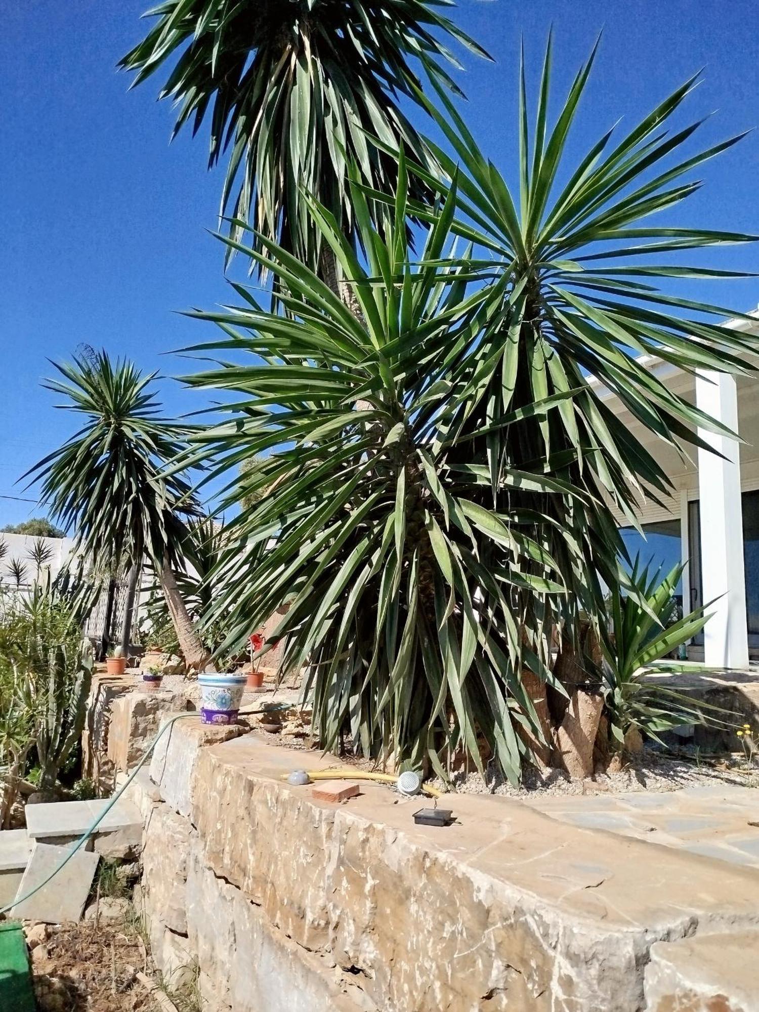 Appartement San Roque Countryside Annex Extérieur photo